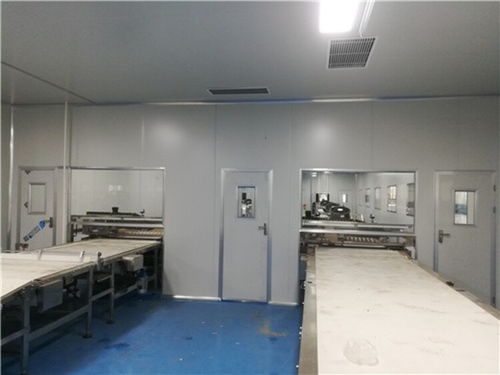 山東濟南食品廠凈化車間凈化工程裝修施工