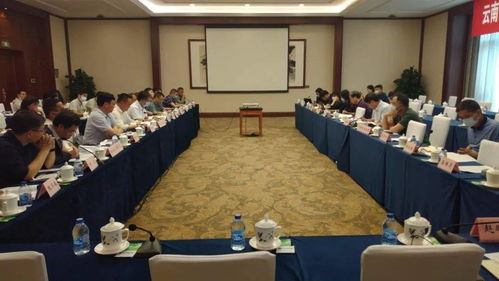 桃源水庫工程可行性研究報(bào)告技術(shù)咨詢會(huì)在京圓滿召開